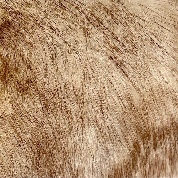 Era1960’s Gorgeous Tailored Coat with real fur S-M - Picture 7 of 9